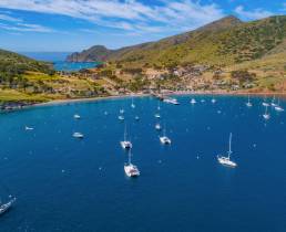 catamaran sailing lessons