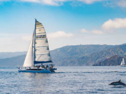 catamaran sailing courses